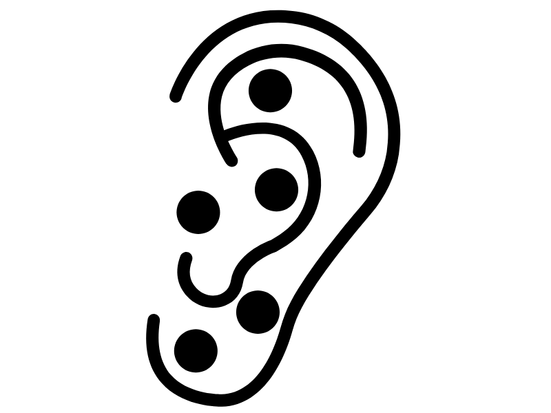 Aurikuloterapija Erik Bolta naslovna