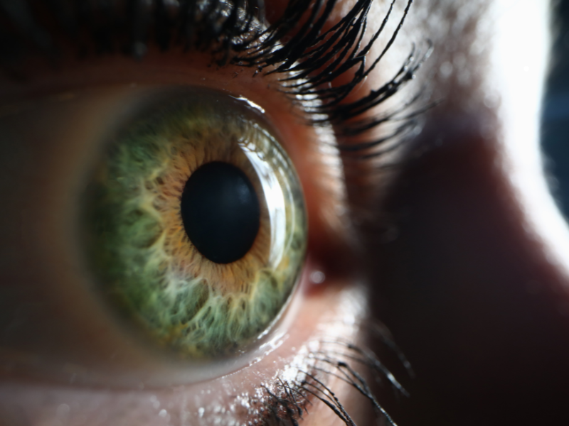  Iridologija Erik Bolta